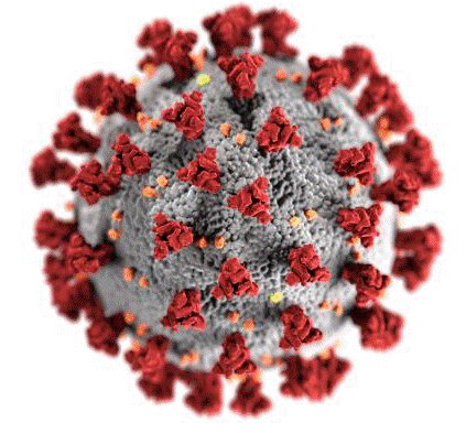 COVID-19 virus depiction